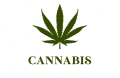 Cannabis Sativa Cannabis Sativa