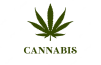 Cannabis Sativa